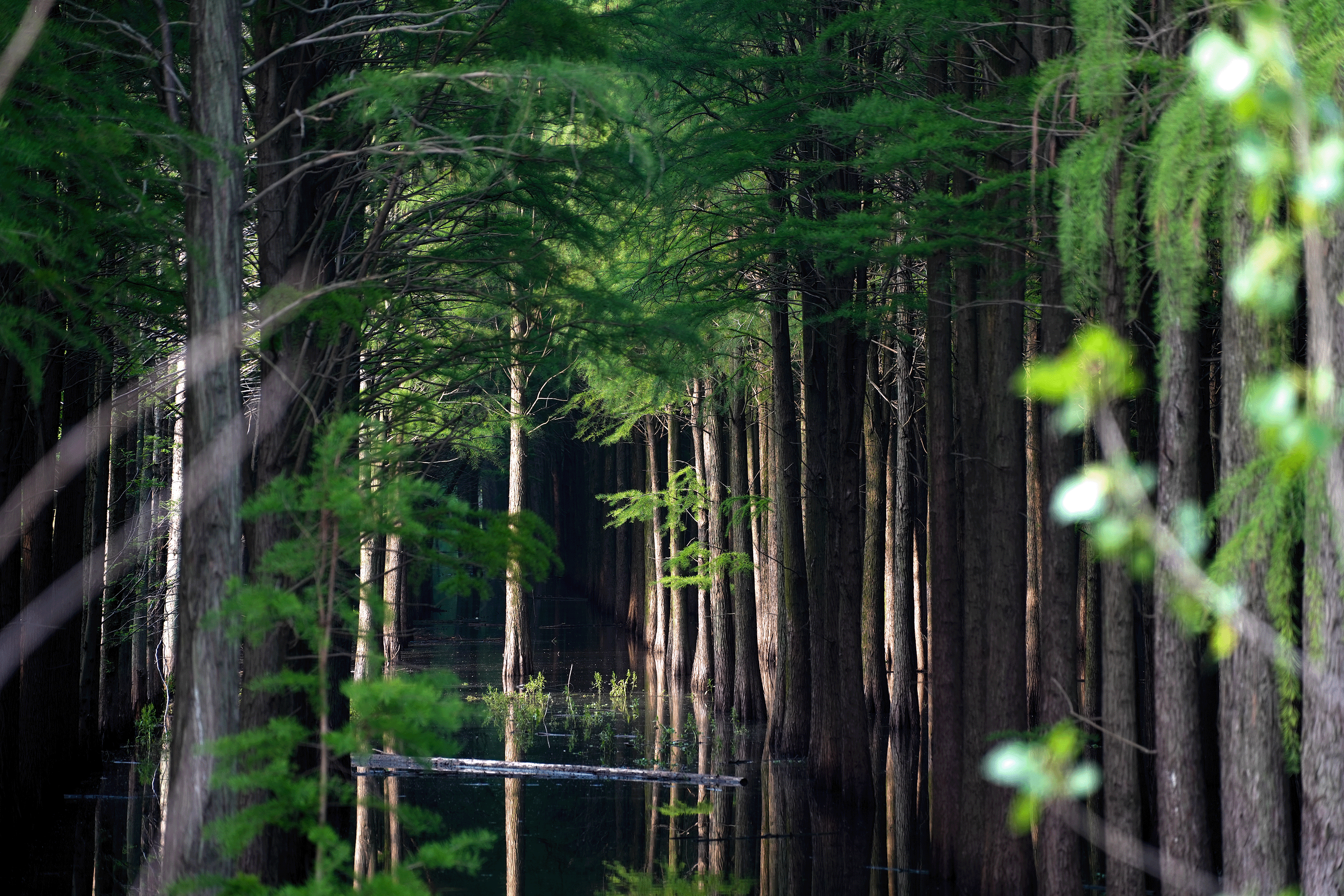 EP13 趁新鲜 · Thoughts 